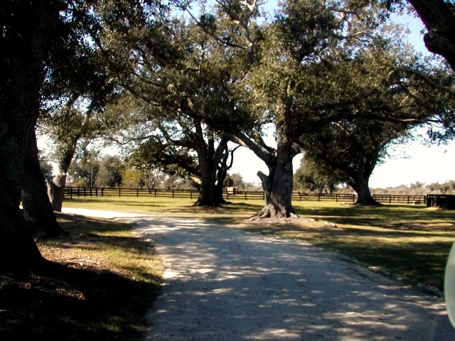 driveway.jpg